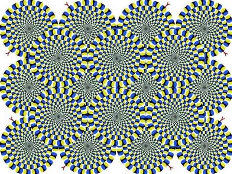 21 Optical Illusions That Look Like Theyre Moving