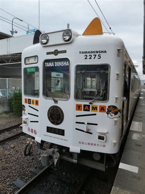 The original outlet is located at omotesando area, just a few minutes walk from omotesando station. Station Master Tama: The Cat That Saved A Railroad ...