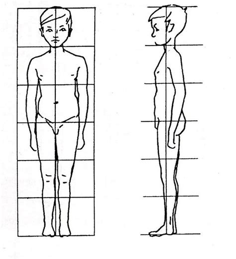 Body Proportions Body Proportions Learn To Draw Figure Drawing