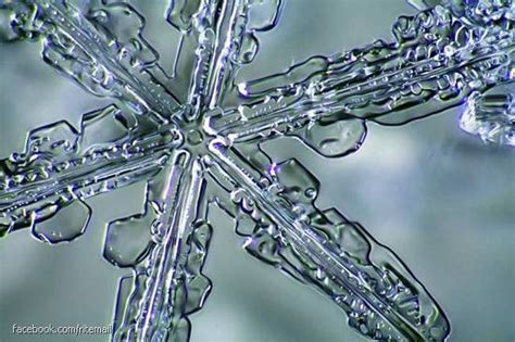 Interesting Facts You Didnt Know The Largest Snowflake Ever