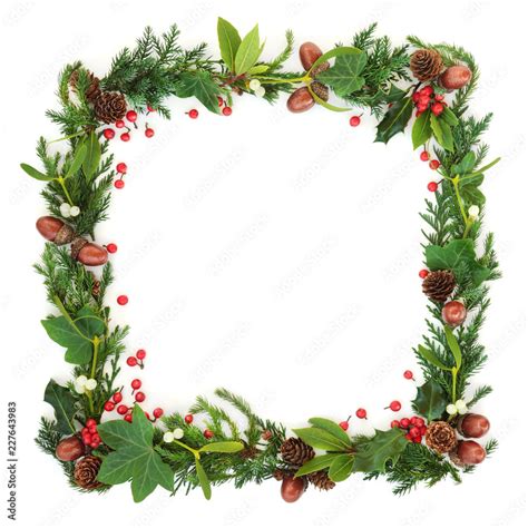 Natural Winter And Christmas Square Wreath Border With Cedar Cypress