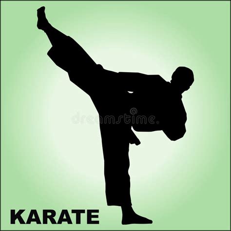 Karate High Kick Martial Arts Stock Vector Illustration Of Master