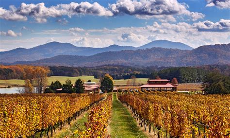 Nicewonder Farm And Vineyard Bs Guide To Virginia Wineries