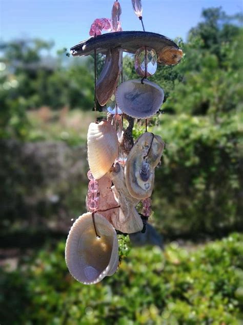 Check Out This Item In My Etsy Shop Listing594750318clam Shell Chime