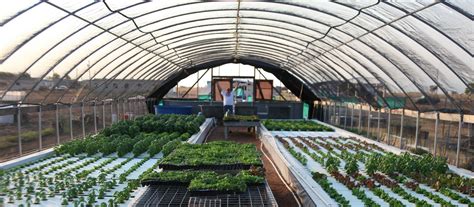 The best backyard aquaponics system designs in the world; Commercial Aquaponics System Design : Info On The ...