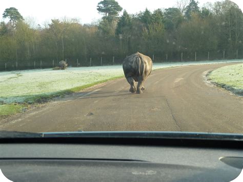 West Midlands Safari Park Britains Best Day Out Keep Up With The