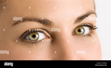 Detail Of Beautiful Natural Green Eyes Stock Photo Alamy