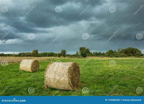 Round Hay Bales Lying On A Green Meadow And Dark Rainy Clouds In The