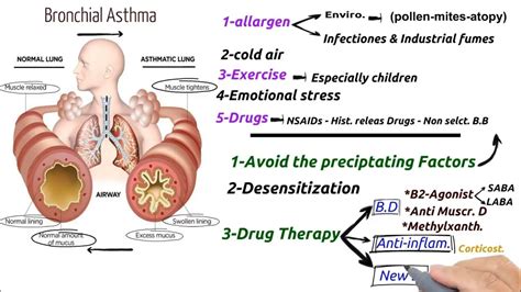 Bronchial Asthma Pharmacology Youtube