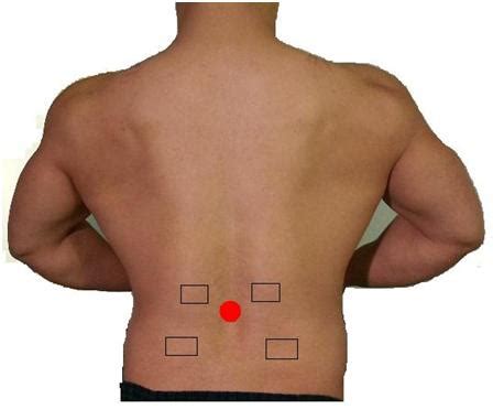 Lower back pain rarely occurs as a result. Types of Back Pain - Find Back Pain Relief | Hanson ...