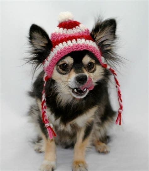 Dog Hat Crochetedcandy Cane Christmas Red White And