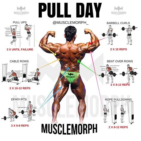 A push is an application of force which causes something to move away from the source of the force. PULL DAY! Give THIS workout a TRYLIKE/SAVE & FOLLOW ...