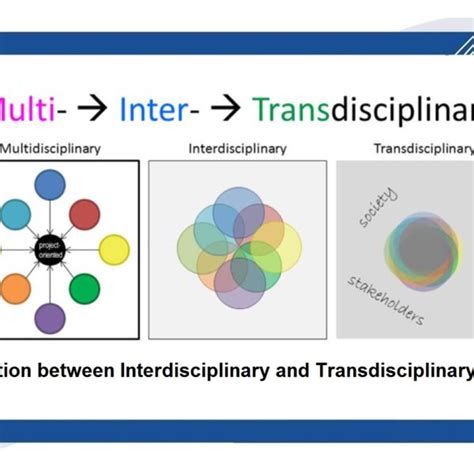 Differentiation Between Interdisciplinary And Transdisciplinary