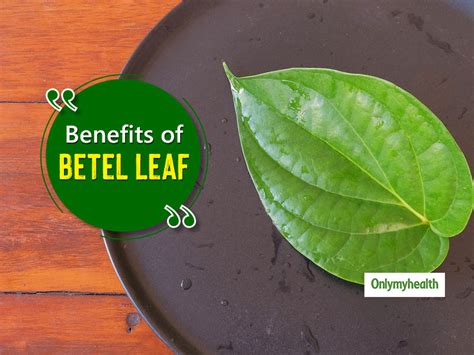 Ever Heard Of These Medicinal Benefits Of Betel Leaves Onlymyhealth