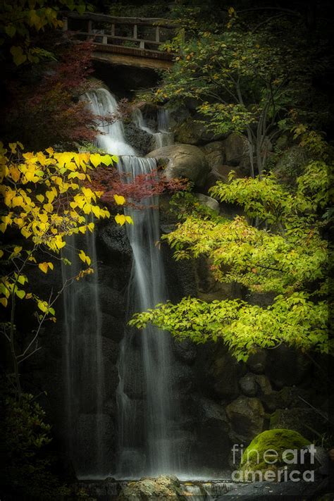 Large Waterfall Anderson Japanese Gardens Photograph By Rudy Viereckl