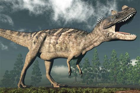 From Sauropods To Tyrannosaurs The 15 Main Dinosaur Types