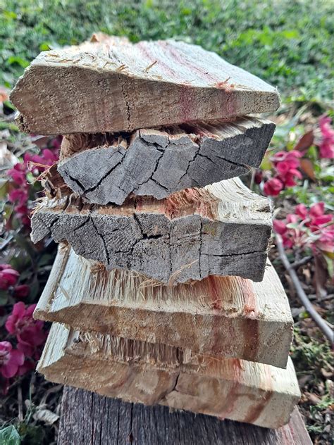 Flamed Box Elder Wood 5 Pieces Red Streaked Candied Live Cut Etsy