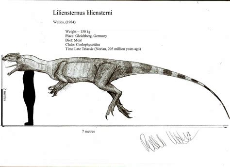 liliensternus liliensterni by teratophoneus on deviantart