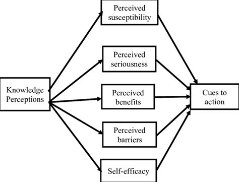 health belief model adapted from health behavior theory research download scientific