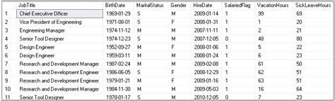 Tutustu Imagen Sql Server Management Studio Insert Vrogue Co