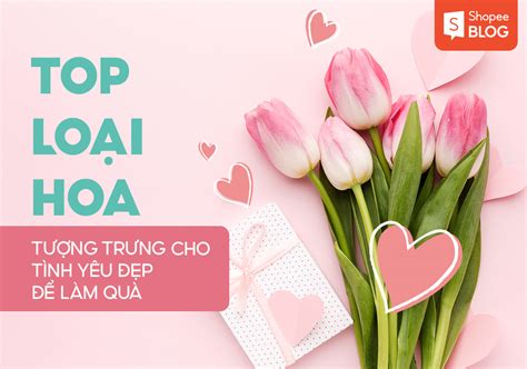 Top 7 Loài Hoa Tượng Trưng Cho Tình Yêu đẹp để Làm Quà Shopee Blog