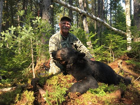Maine Bear Hunting Blackwater Outfitters