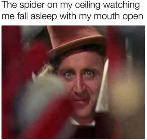 33 Memes That Will Make You Scream Nope