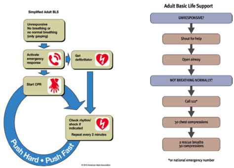 2010 American Heart Association And European Resuscitation Council