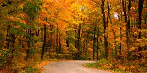 Rhode Island Fall Foliage Scenic Drives Sightseeing Tours
