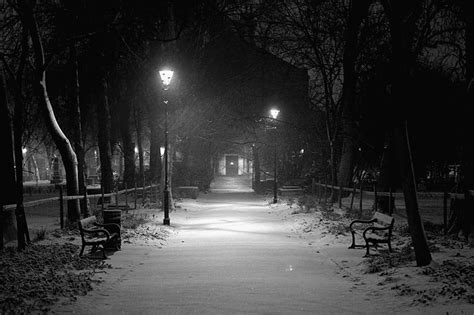 Snowing In The Park  Weather Snow Creepy Discover