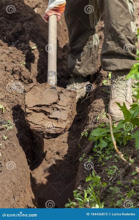Man Digging A Trench In The Park Stock Photo Image Of Loader