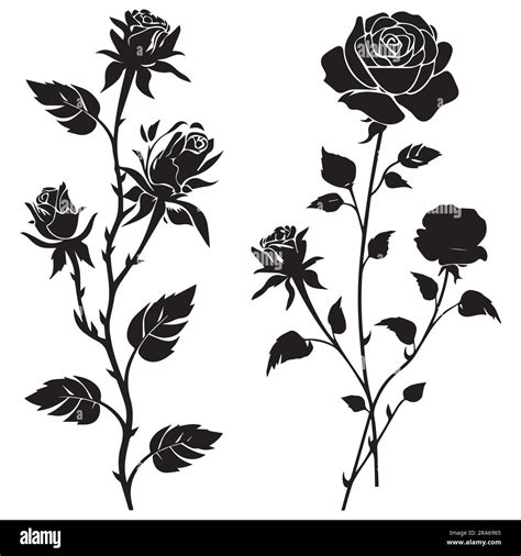 A Set Of Silhouette Rose Flower Vector Illustration Stock Vector Image