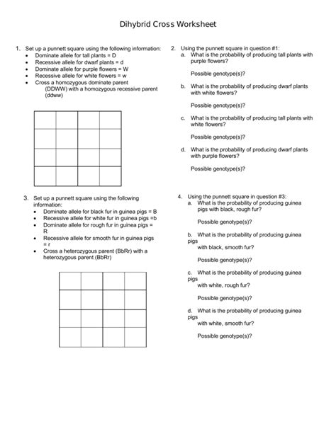 Practice With Monohybrid Punnett Squares Worksheet Answers