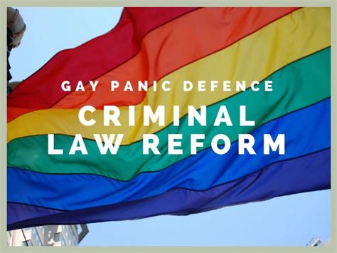 Gay Panic Defence Criminal Law Reform Christine Smyth Estate Lawyers