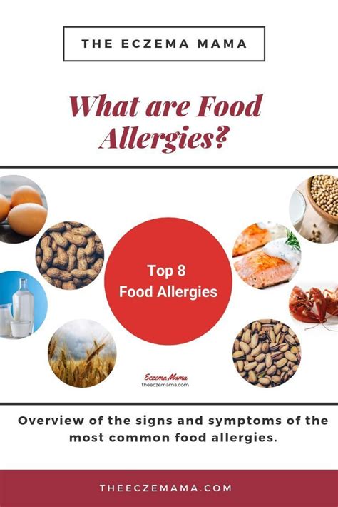 “what Are Food Allergies Find The Information You Need About The Most