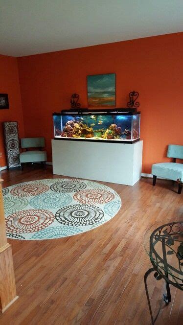 Joined jun 2, 2011 messages 22 reaction score 0. 125 Gallon African Cichlid tank in the lounge. | Fish tank ...