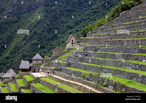 Agricultural Terraces Machu Picchu Peru South America The Lost