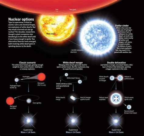Explosions Of White Dwarfs Known As Type Ia Supernovae Have Served As
