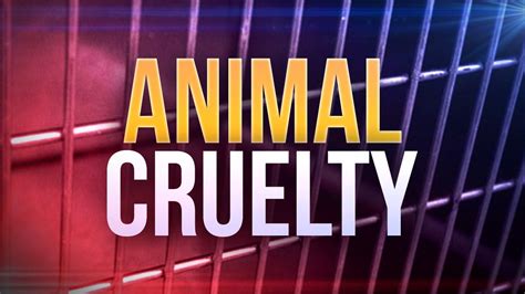 Idaho Man Charged With 10 Counts Of Animal Cruelty