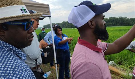 Mississippi Rice Farmer Hosts National Black Growers Council Model Farm Day Agfax