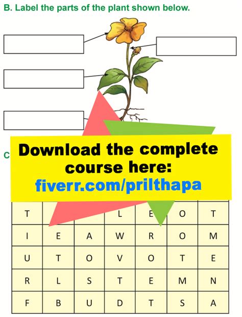 Grade 1 Science Lesson 5 Parts Of A Plant Primary Science