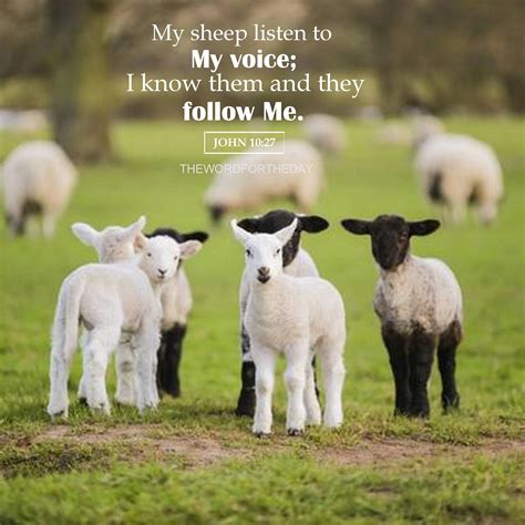Quotes About Jesus Lamb Aden