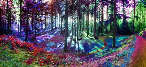 Psychedelic Forest Panorama 2019 By Jpotts90 On Deviantart