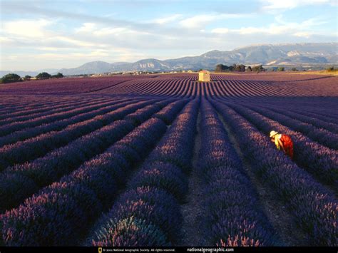 69 Provence Wallpapers Wallpapersafari