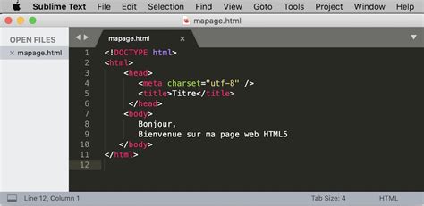 La Base Du Langage HTML Structure D Une Page Web Code Exemple