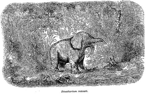 The Art Of Extinct Animals As Illustrated In The 1800s