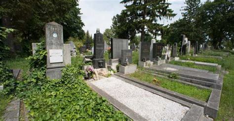 Cementerio Central De Viena Viena Reserva De Entradas Y Tours