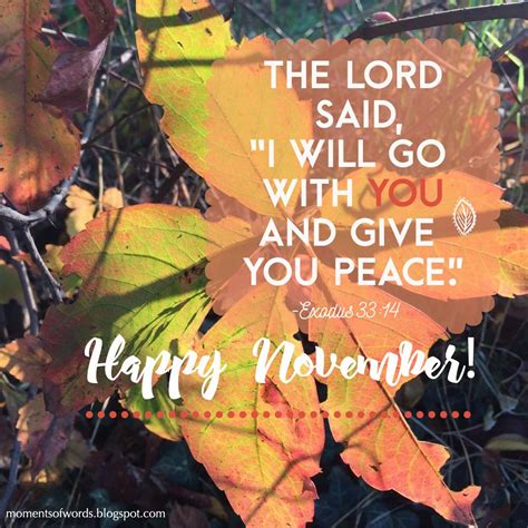 Have a blessed November! ♥ #happynovember #november (With images) | Happy november, Happy, November