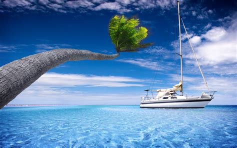 Sailboat Full Hd Wallpaper And Background Image 1920x1200 Id435447