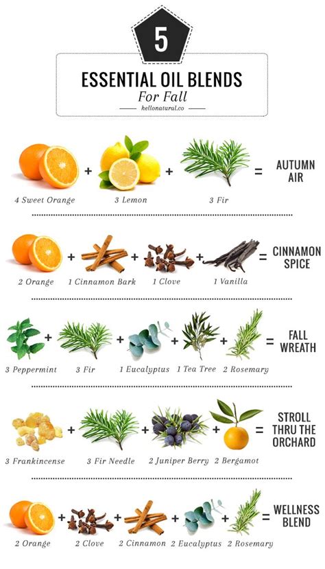 10 Essential Oil Blends To Make Your House Smell Like Fall Fall Essential Oils Potpourri